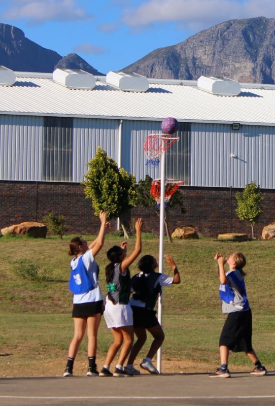 Netball players on court